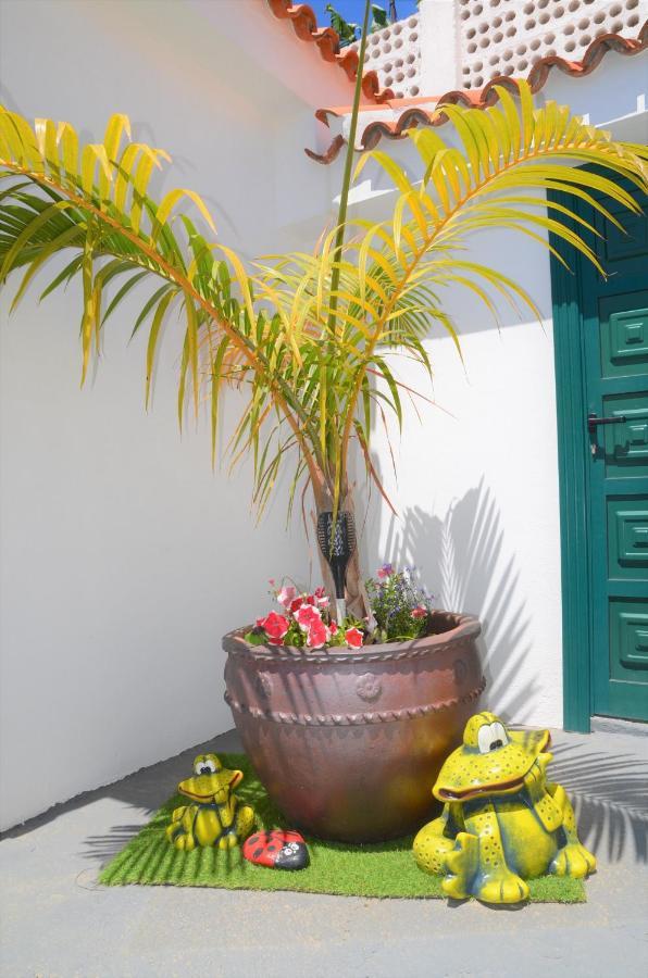 Casa Nine Con Piscina Vacacional La Palma Διαμέρισμα Breña Baja Εξωτερικό φωτογραφία