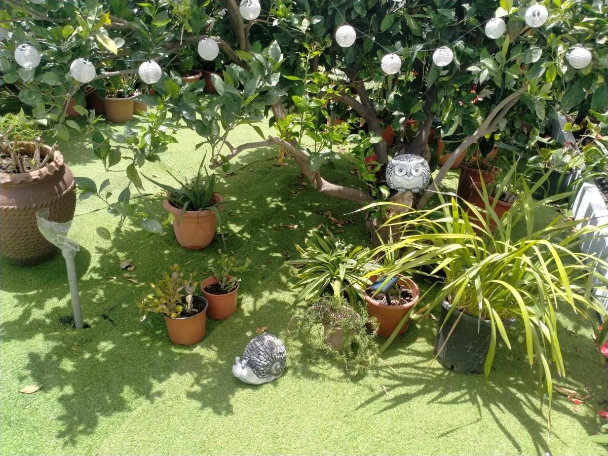Casa Nine Con Piscina Vacacional La Palma Διαμέρισμα Breña Baja Εξωτερικό φωτογραφία